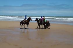 3 timer ridning på Essaouira