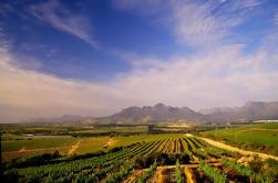 Mezza giornata di Cape Winelands Tour da Città del Capo