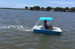 Dolphin Pedal Boat Rental in Daytona Beach