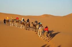 2-Tages-Zagora-Wüstentour aus Marrakesch