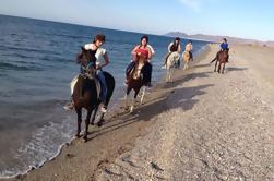 Passeio a cavalo na Andaluzia