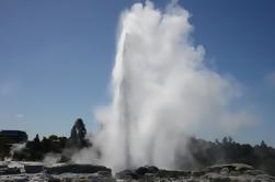 Excursie: Rotorua en Te Puia waaronder Maori Cultural Show van Tauranga