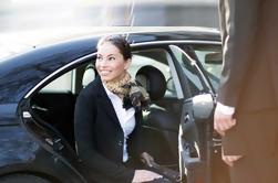 Low Cost Private Arrival Transfer van de internationale luchthaven van Cardiff naar Cardiff