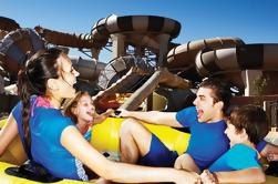 Dubai: Wild Wadi Waterpark 1-biglietto giornaliero