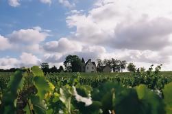 Excursión de un día a Azay Le Rideau, Langeais y Villandry con degustación de vinos de Tours