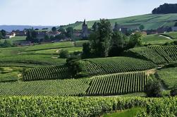 Excursión de un día en grupo pequeño de Epernay con Champagne