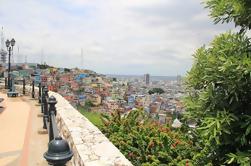 Tour de ville d'une demi-journée à Guayaquil comprenant le Malecon