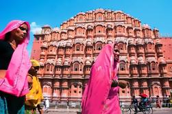 Half-Day Amber Fort and Sisodia Palace Garden Tour