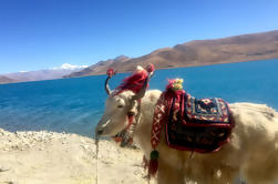 Excursión de 4 noches a Lhasa y el lago Yamdrok