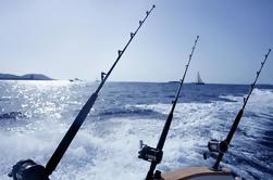 Private Punta Cana Half-Day Pesca en alta mar