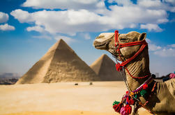 Guided Day Tour to Great Pyramids and Museum Cairo