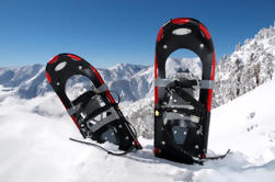 Whistler Snowshoe Aventura