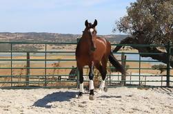 Paardrijden in de Alentejo