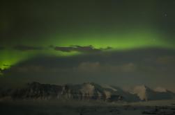 6 Day Island New Years Eve Erfaring fra Reykjavik