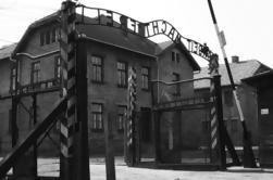 Tagesausflug nach Auschwitz Birkenau und Wieliczka Salzbergwerk aus Krakau inklusive Mittagessen