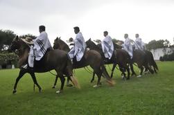 Peru Cavalos Show Paso mais almoço ou Open Bar