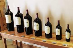 Tour des amateurs de vin rouge à Stellenbosch