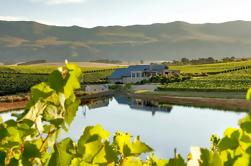 Visite privée du vin dans la région viticole de Hemel-en-Aarde à partir du Cap