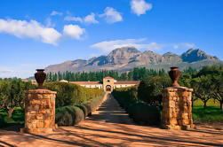 Private Weintour von Stellenbosch aus Kapstadt