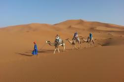 Pernottamento in piccola gruppo Deserto Tour da Fes