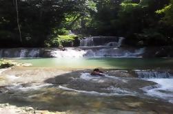 Private YS Falls Tour desde Montego Bay