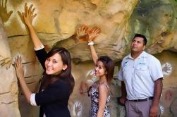 Pequeño grupo Nura Diya Aboriginal Discovery Tour en el zoológico de Taronga