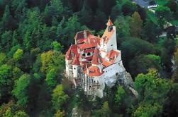 Private Bucharest Transylvania's best CastlesTour - Peles Castle and Dracula's Castle