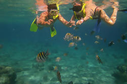 Cozumel Snorkel Adventure desde Cancún