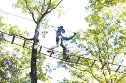 Tree Top Adventure Firenze