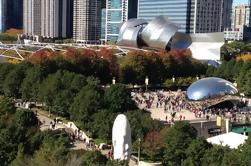 Tour privado guiado de Chicago - Entrenador de lujo para 12 - Idiomas internacionales