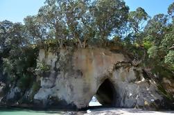 Coromandel en Cathedral Cove Day Trip van Auckland