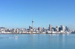 Full-Day Best of Auckland City Tour