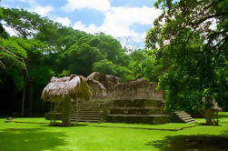 Excursion d'une journée au site archéologique de Ceibal