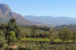 Private Ganztägige Winelands Tour von Kapstadt