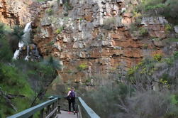 Small Group Bush Walk med Sinclair Gully Winery Dagstur fra Adelaide inkludert lunsj