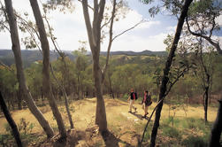 Mount Lofty Hike and Cleland Wildlife Park Dagstur fra Adelaide