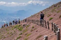 Excursión privada a la costa: Día completo desde el puerto de Nápoles hasta las ruinas de Pompeya y el Monte Vesubio con cata de vinos incluidos