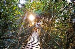 O'Reilly's Lamington National Park e Árvore Top Canopy Tour