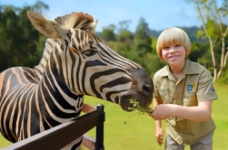 Zoológico de Australia por Croc Express Coach