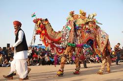 6 noches de palacio de Rajasthan y los fuertes de Jaipur a Udaipur