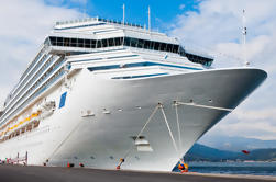 Transfer privado de Málaga: Málaga Central y Costa del Sol al Puerto de Cruceros