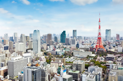 Torre de Tokio, Ceremonia del Té y Crucero por el Río Sumida