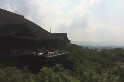 Full-Day Kyoto Private Custom Walking Tour