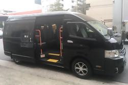 Excursión minivan de Tokio a un grupo pequeño