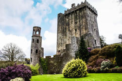 Cobh Shore Excursion: Castelo de Blarney, Cidade de Cork e Kinsale Private Tour