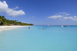 Punta Cana Day Trip: Saona Island van Speedboat en Catamaran