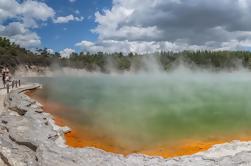 Thermal Wonderland Geyser Link Shuttle Tour von Rotorua