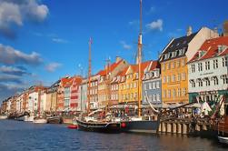 Copenhague panorámica de la ciudad con crucero en el puerto