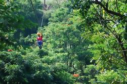 Big Island Zipline Adventure