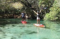 Stand Up Paddle Board Eco Tour